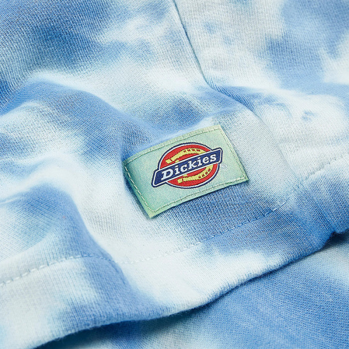 Dickies Short Dickies SEATAC CELADON