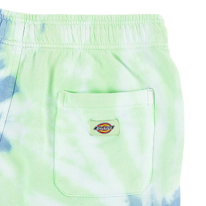 Dickies Short Dickies SEATAC CELADON