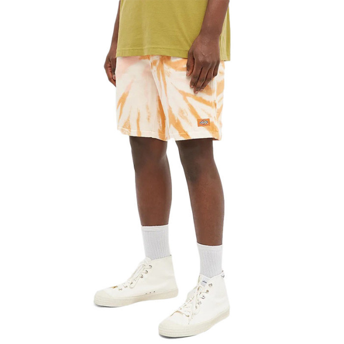 Dickies Short Dickies SEATAC CELADON