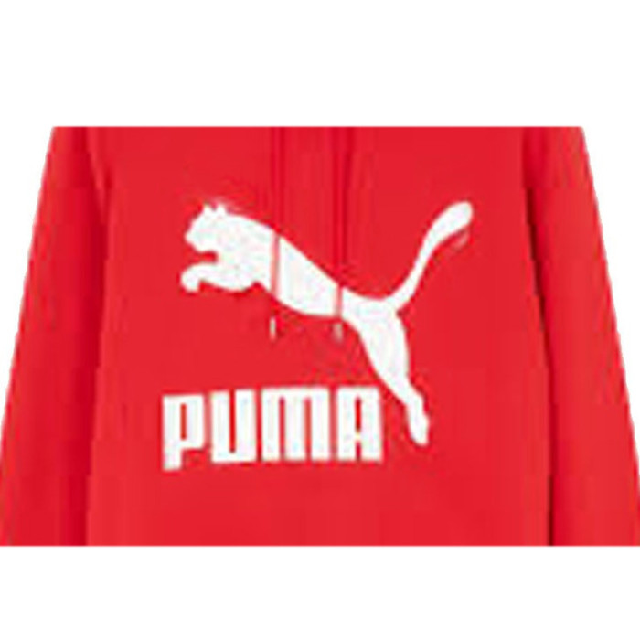 Sweat à capuche Puma ARCH CLASSIC