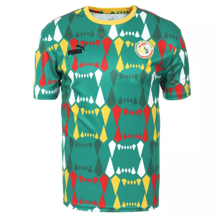Puma Tee-shirt Puma FOOTBALL SENEGAL