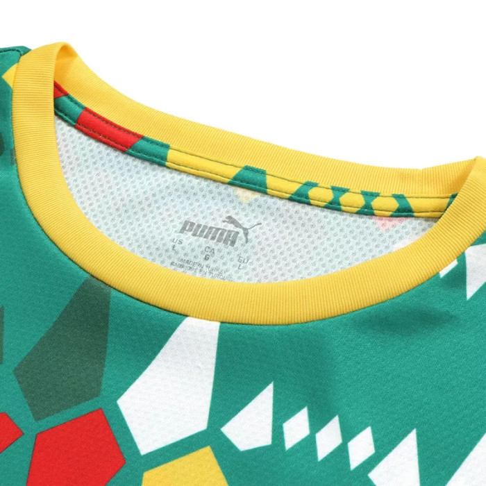 Puma Tee-shirt Puma FOOTBALL SENEGAL