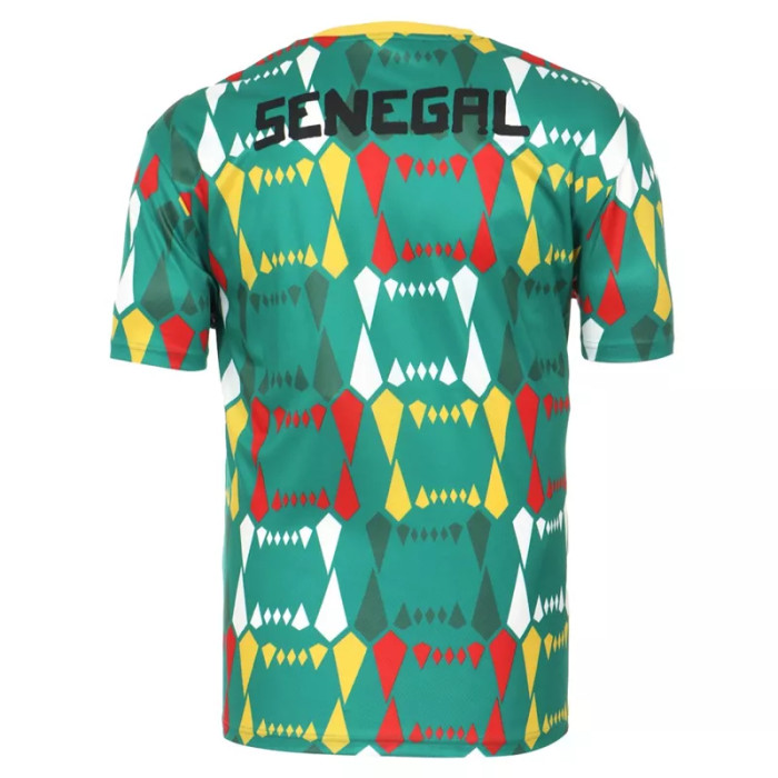 Puma Tee-shirt Puma FOOTBALL SENEGAL