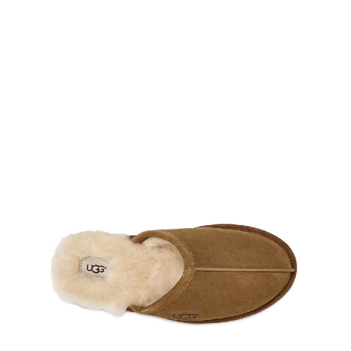 UGG Chausson UGG Scuff