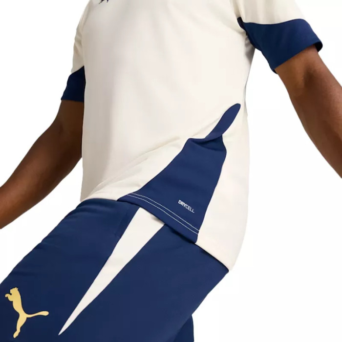 Puma Tee-shirt Puma FPF Training Jersey