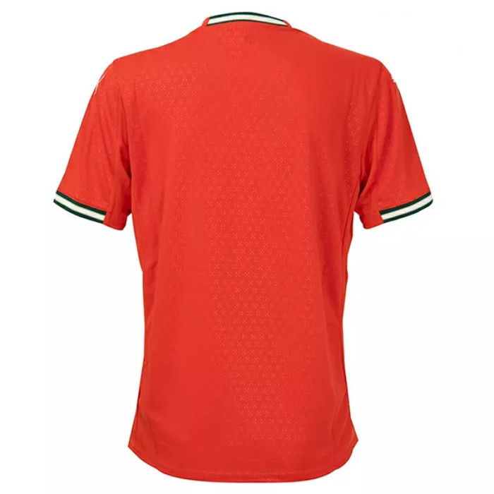 Puma Tee-shirt Puma FPF Home jersey Replay