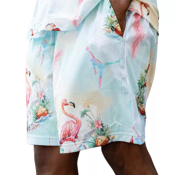Nike Short Nike JORDAN ESSENTIALS PRINTED