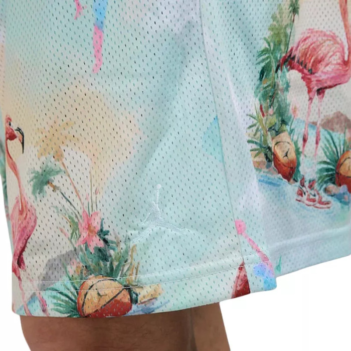 Nike Short Nike JORDAN ESSENTIALS PRINTED