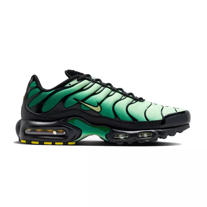 Nike Basket Nike AIR MAX PLUS TN