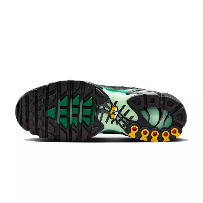 Nike Basket Nike AIR MAX PLUS TN