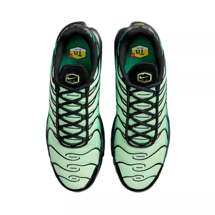 Nike Basket Nike AIR MAX PLUS TN