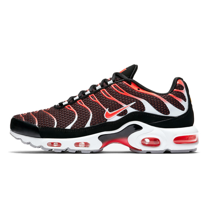 Nike Baskets Nike AIR MAX PLUS - 852630-034