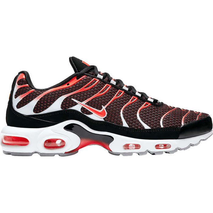 Nike Baskets Nike AIR MAX PLUS - 852630-034