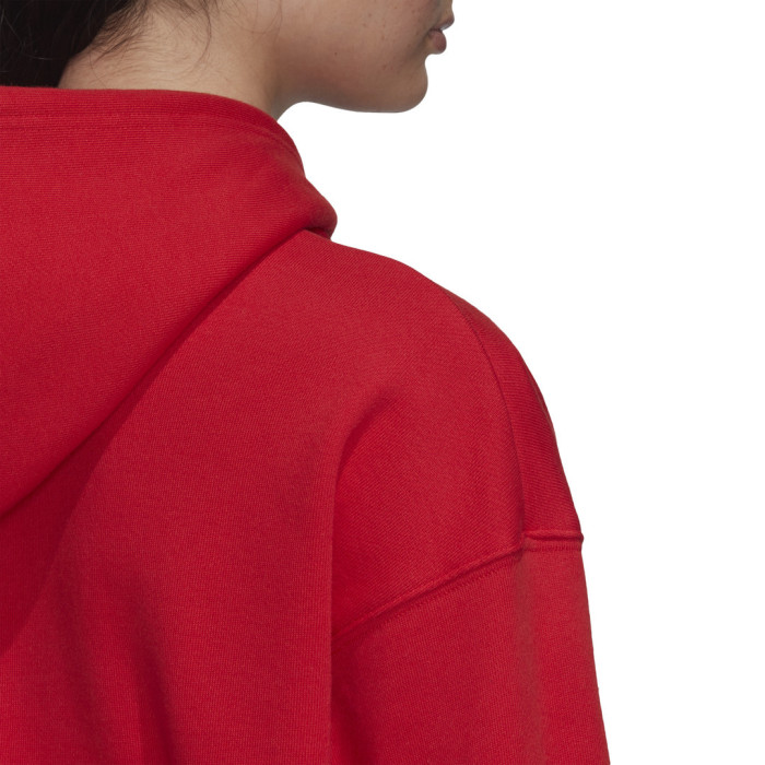 Adidas Originals Sweat à capuche adidas Originals ADICOLOR TREFOIL