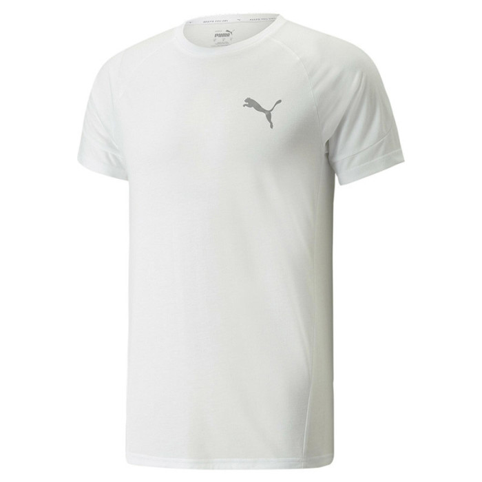 Puma Tee-shirt Puma FD Evostripe